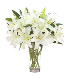 9 Perfume White lilies and Green leaves