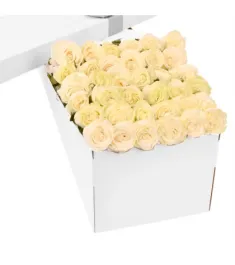 3 Dozen White Roses in a Box Online Order to Philippines