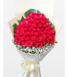 48 Red Roses