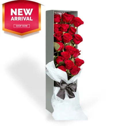 buy 12 red roses box philippines