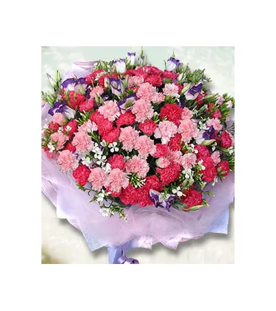 66 Red & Pink Carnations