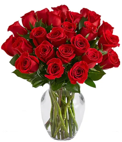 24 Premium Long Stem Red Roses Send to Philippines