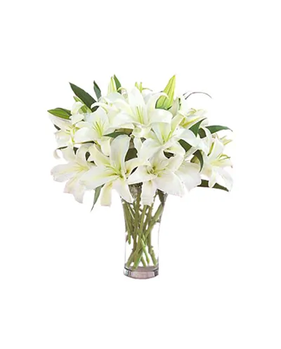 9 Perfume White lilies and Green leaves