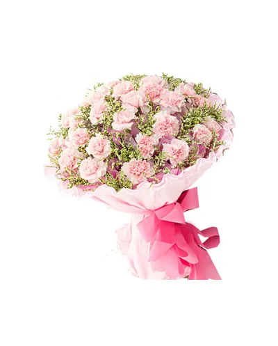 30 Pink Carnations