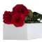 3 Pcs Roses Red Roses in Box